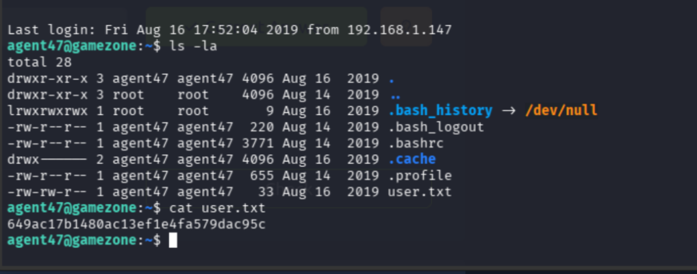 user.txt flag on agent47's home directory